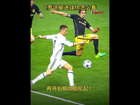 华裔中场瑞,蒂格,转会上海海,LiveScore,即时足球比分,赛程与比赛结果