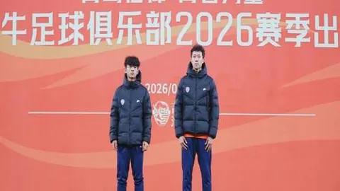 荷乙赛事深度解析，期号专家质合推荐，谁是最终赢家
